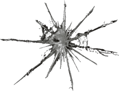 Auto Glass Chip Repair